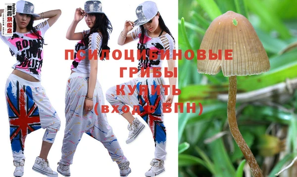 прущие крисы Протвино