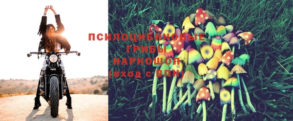 винт Пролетарск