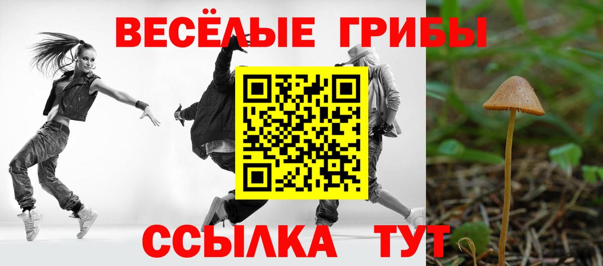 Галлюциногенные грибы Cubensis  Вход с VPN  Урус-Мартан 